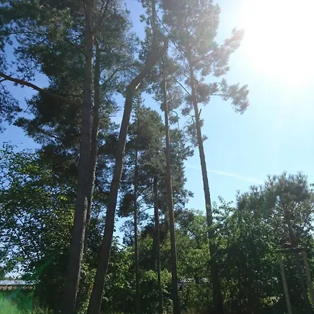 Holiday home Kapitaensweg 32