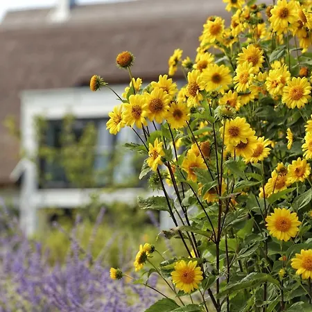 Kapitaensweg 32 Karlshagen