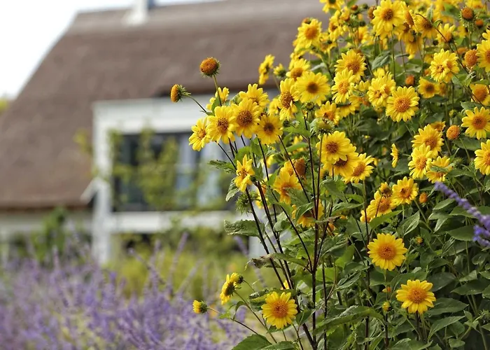 Kapitaensweg 32 Karlshagen